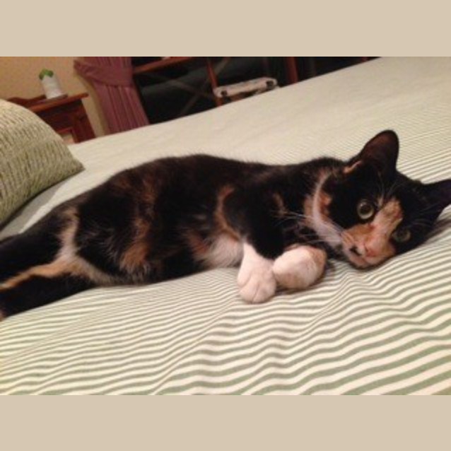 Photo of Penny