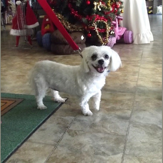 Photo of Rosie