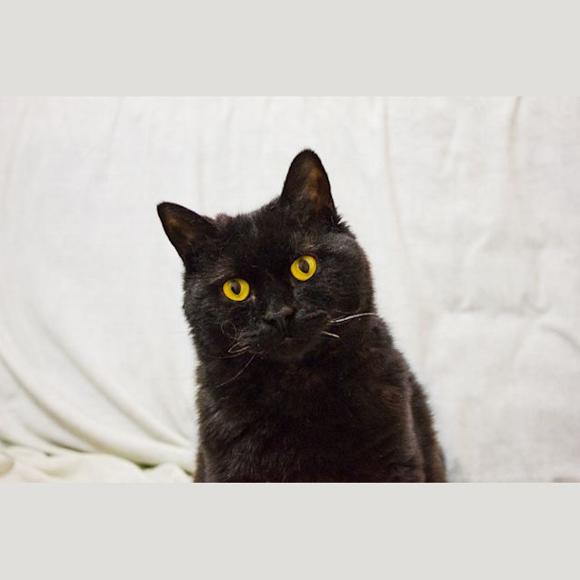 Photo of Mathemathical