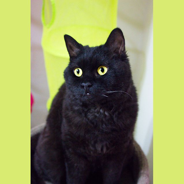 Photo of Mathemathical