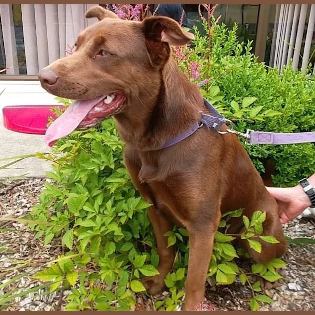 Photo of Sookie