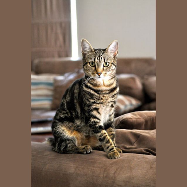 Photo of Mia (Bn C186) 
