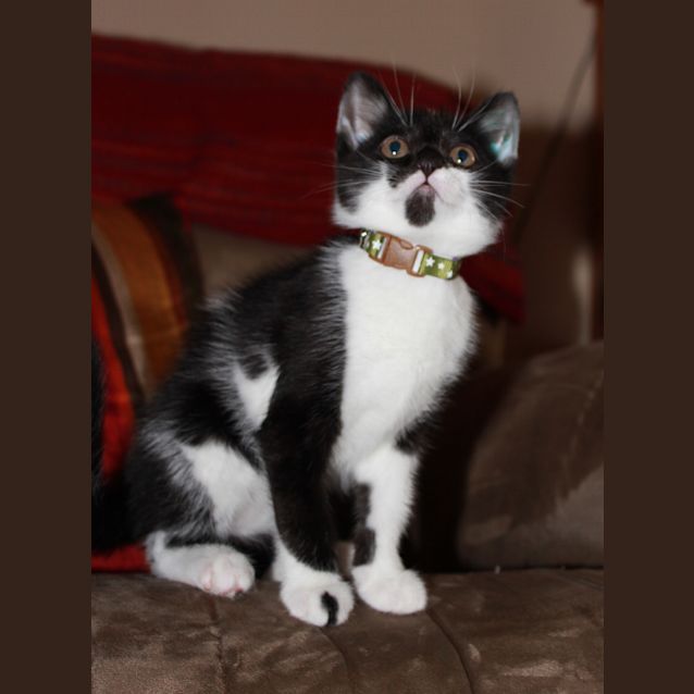 Photo of Po
