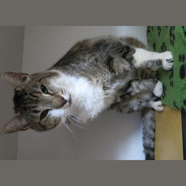 Photo of Jasper