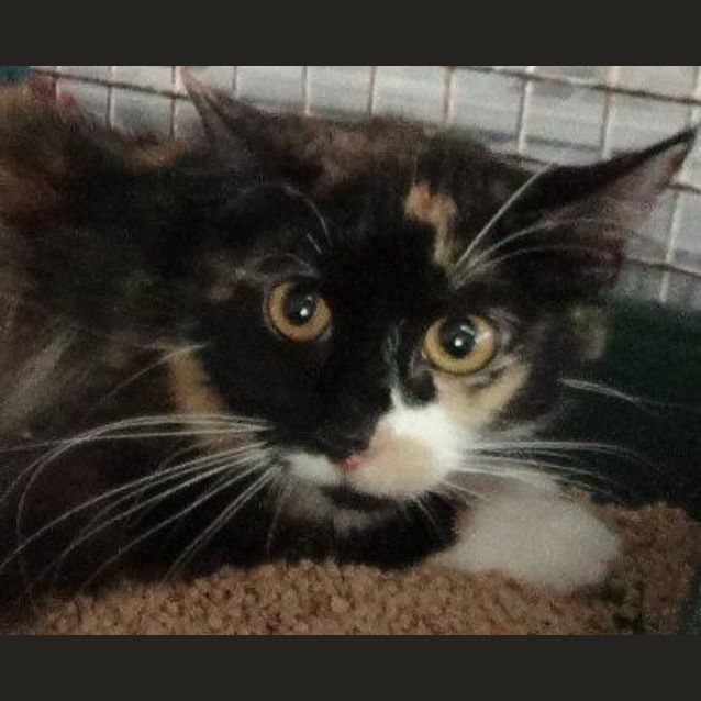 Photo of Tammy