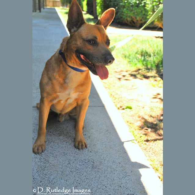 Photo of 5080 Rogan