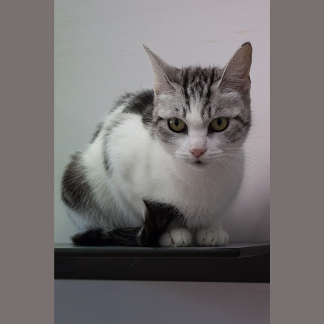 Photo of Hurley