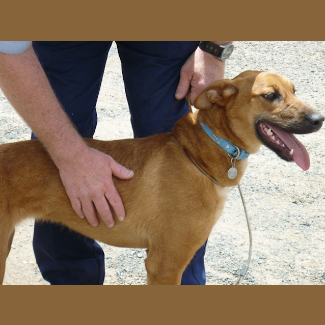 Photo of Cleopatra (D936)