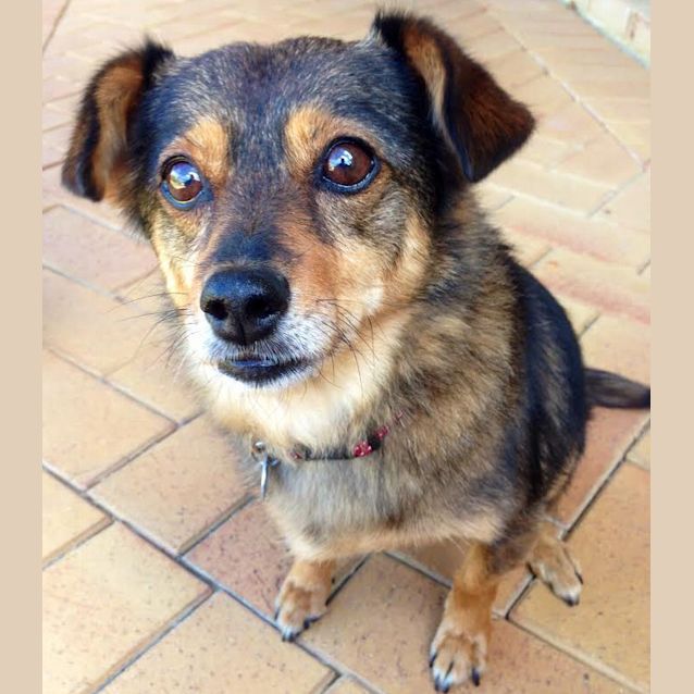 Photo of Coco
