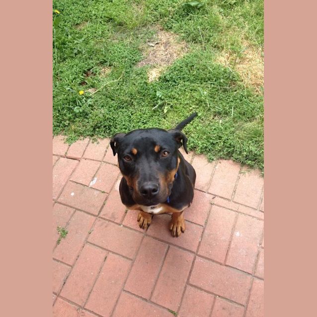 Photo of Finn