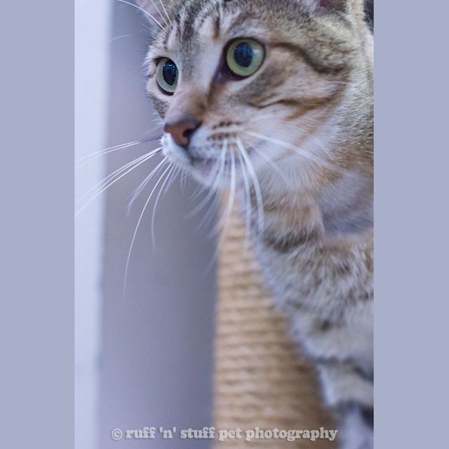 Photo of Sawyer