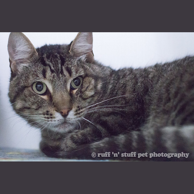 Photo of Rocky