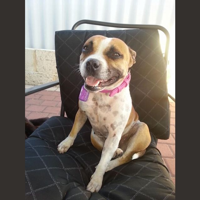 Photo of Jessie