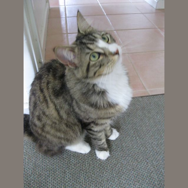 Photo of Missy (Bn C134) 