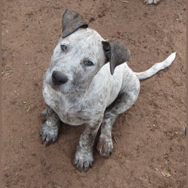 Photo of Hunter