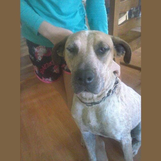 Photo of Holly