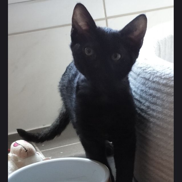 Photo of O'malley (Located In Bulleen)