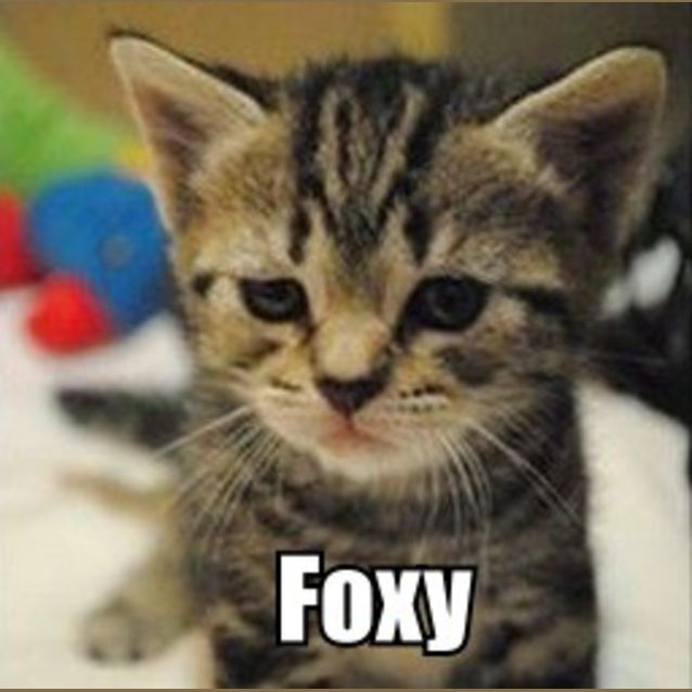 Photo of Foxy