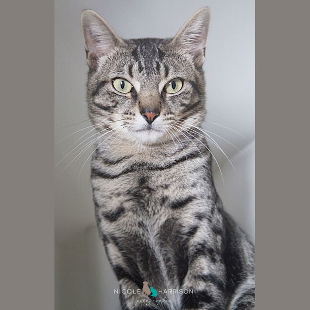 Photo of Little Jerry