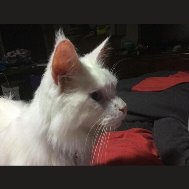 Photo of Charming Charlie