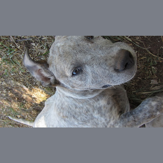 Photo of Hunter
