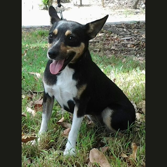 Photo of Abby  003 5259