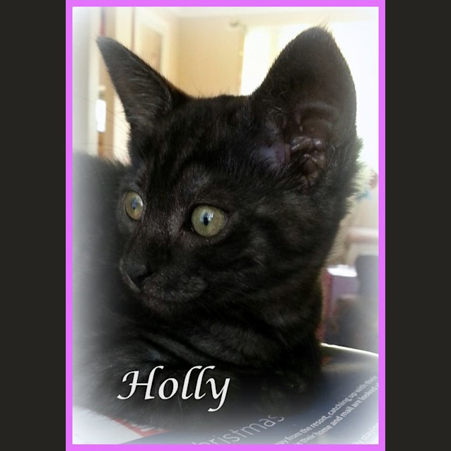 Photo of Holly