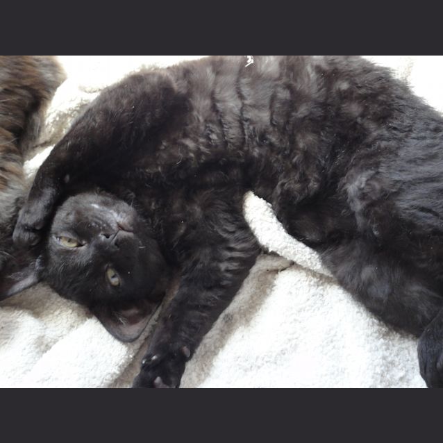 Photo of O'malley (Located In Bulleen)