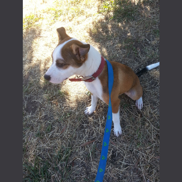 Photo of Lily (D938)