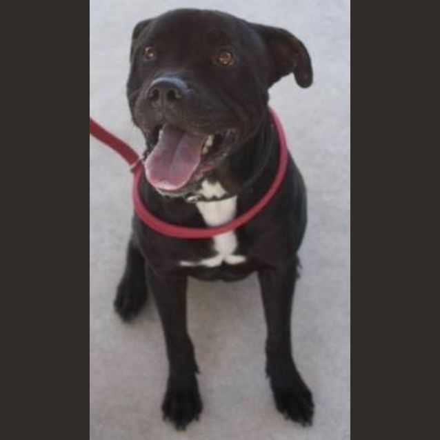 Photo of Tank