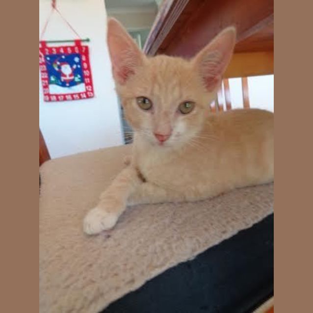 Photo of Stanley