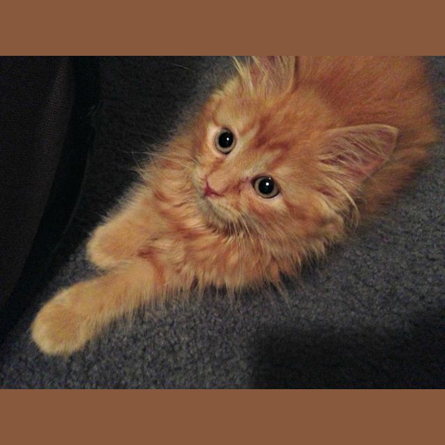 Photo of Professor Xavier