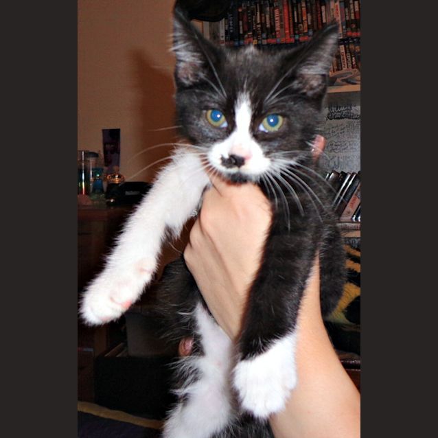 Photo of Silver Samurai