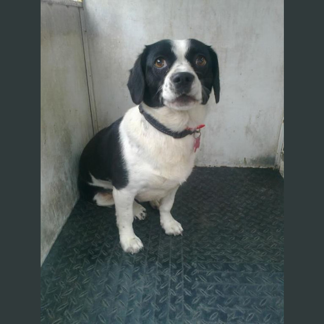 Photo of Bonnie (D953)