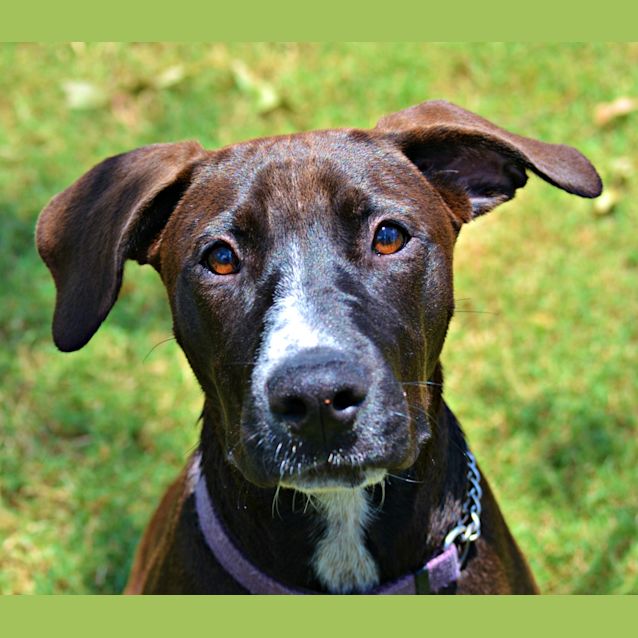 Photo of Coco