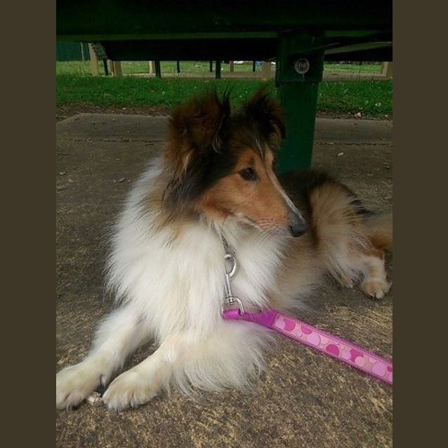 Photo of Bonnie