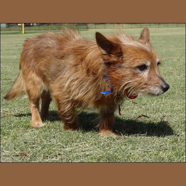 Photo of Frisco
