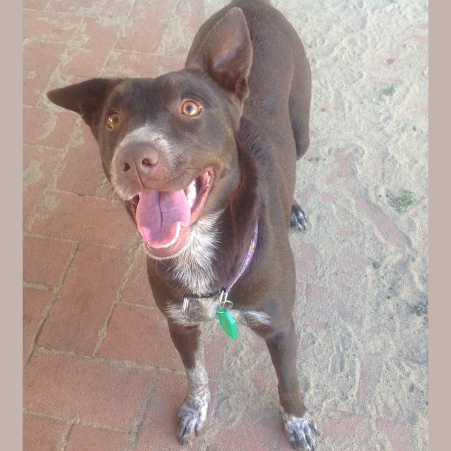 Photo of Cali