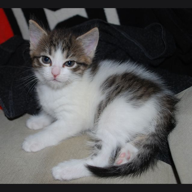Photo of Tabatha **Located In St Kilda**
