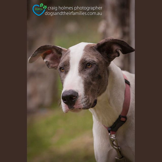 Photo of Zara