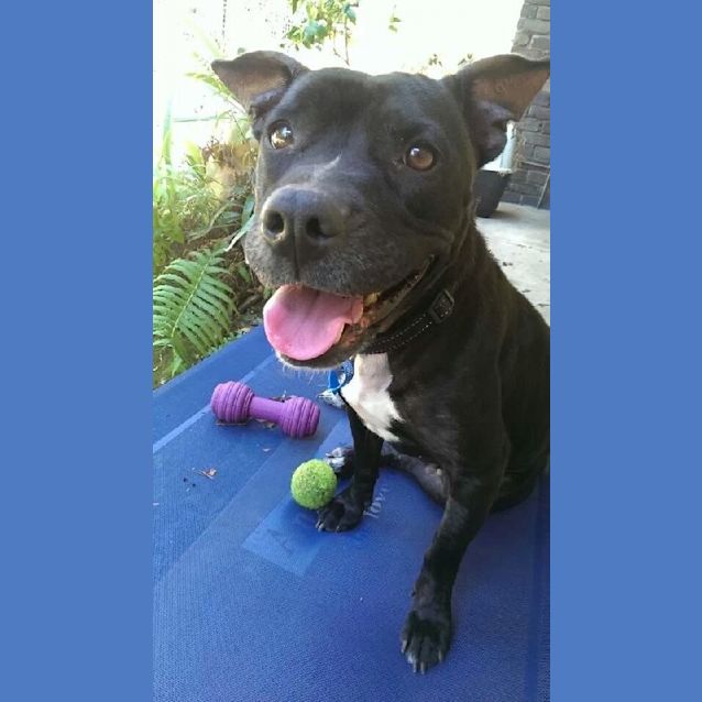 Photo of Zara
