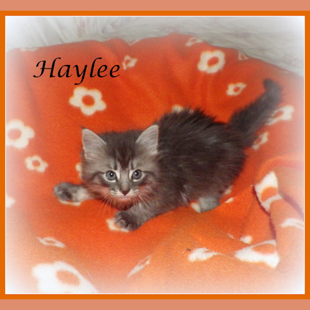 Photo of Haylee