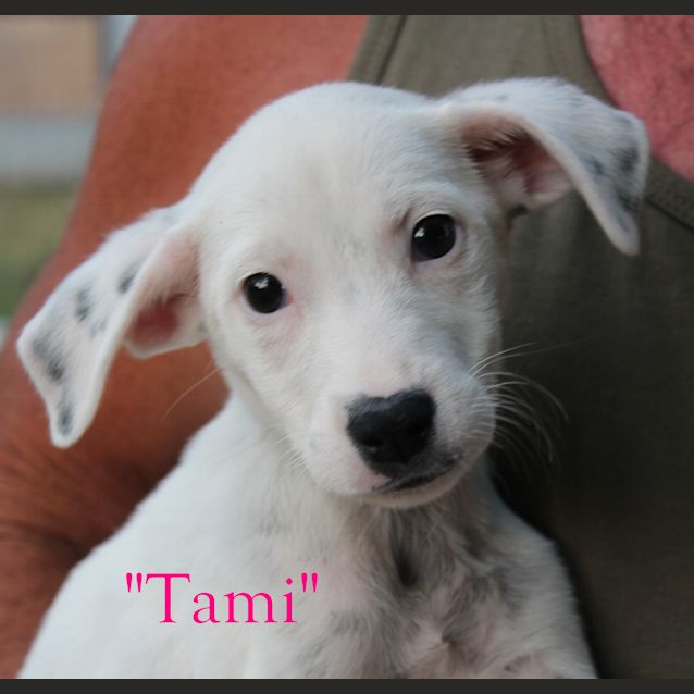 Photo of Tami