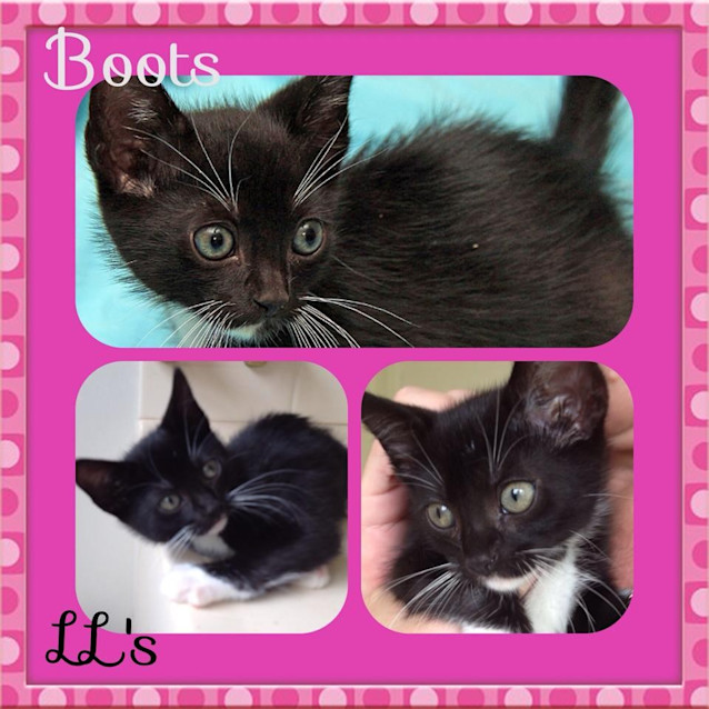 Photo of Boots