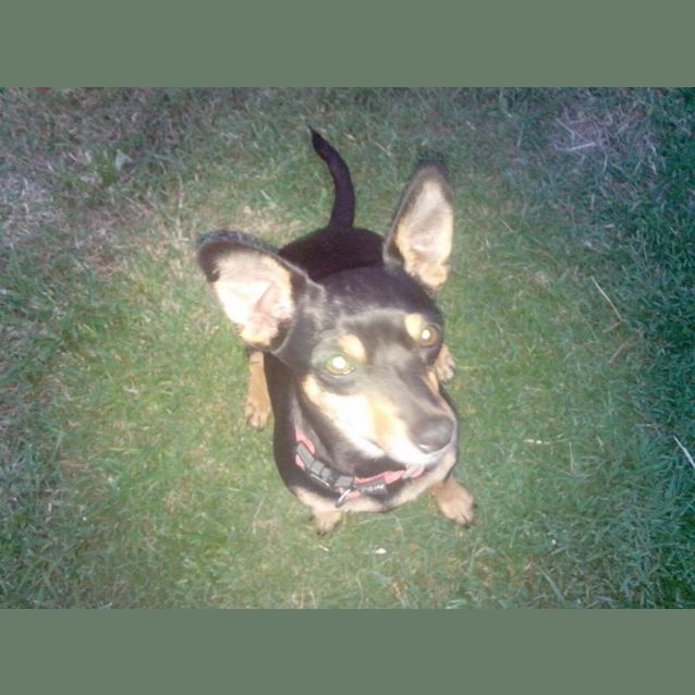 Photo of Sasha
