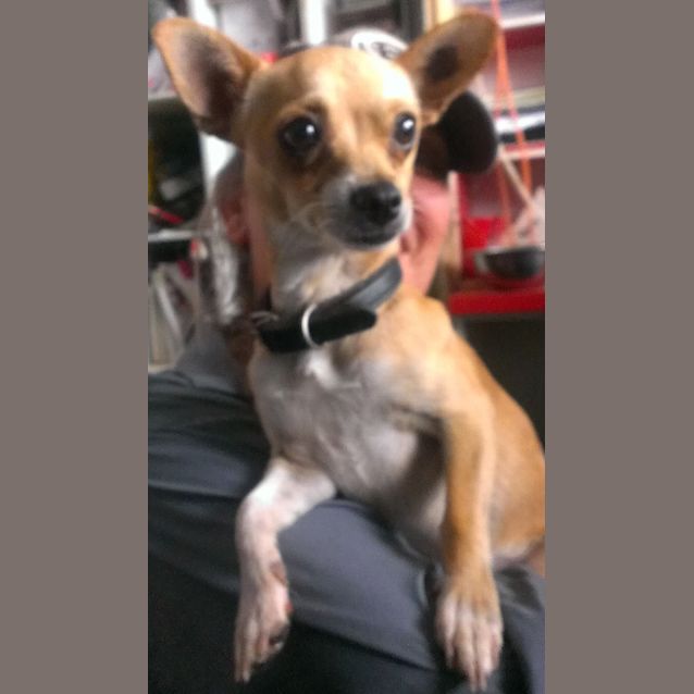 Photo of Bundy