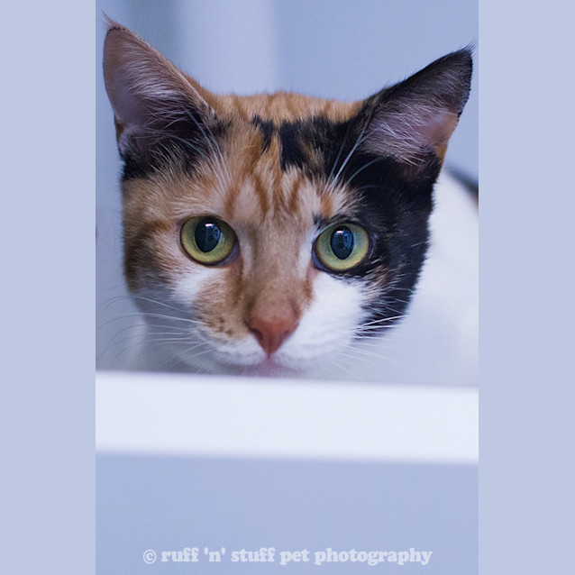 Photo of Sophie