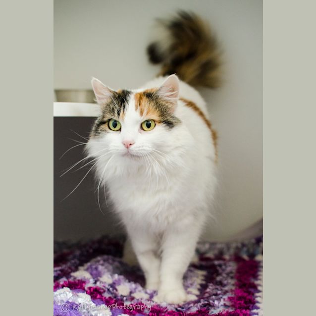Photo of Molly