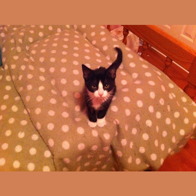 Photo of Boots