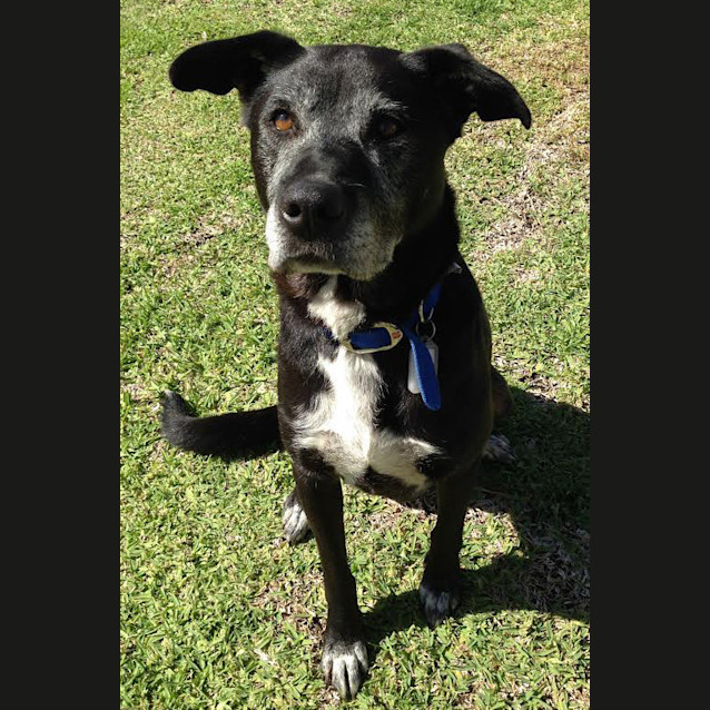 Photo of Jasper
